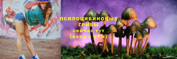 амф Алексеевка